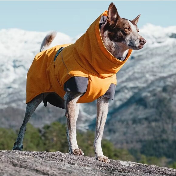 NWT Hurrta Expedition Dog Parka in Buckthorn Bright Orange 60cm / 24in $84 - Picture 1 of 10